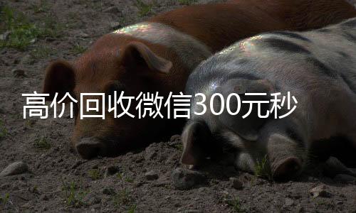 高价回收微信30高价回收vx秒结平台0元秒结（高价24小时回收微信）